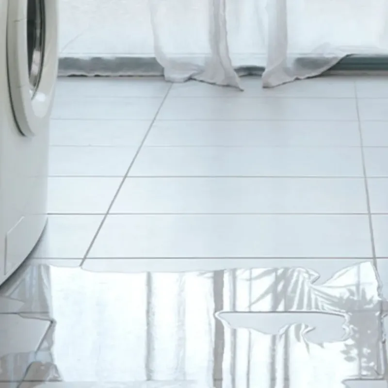Appliance Leak Cleanup in Blaine, MN