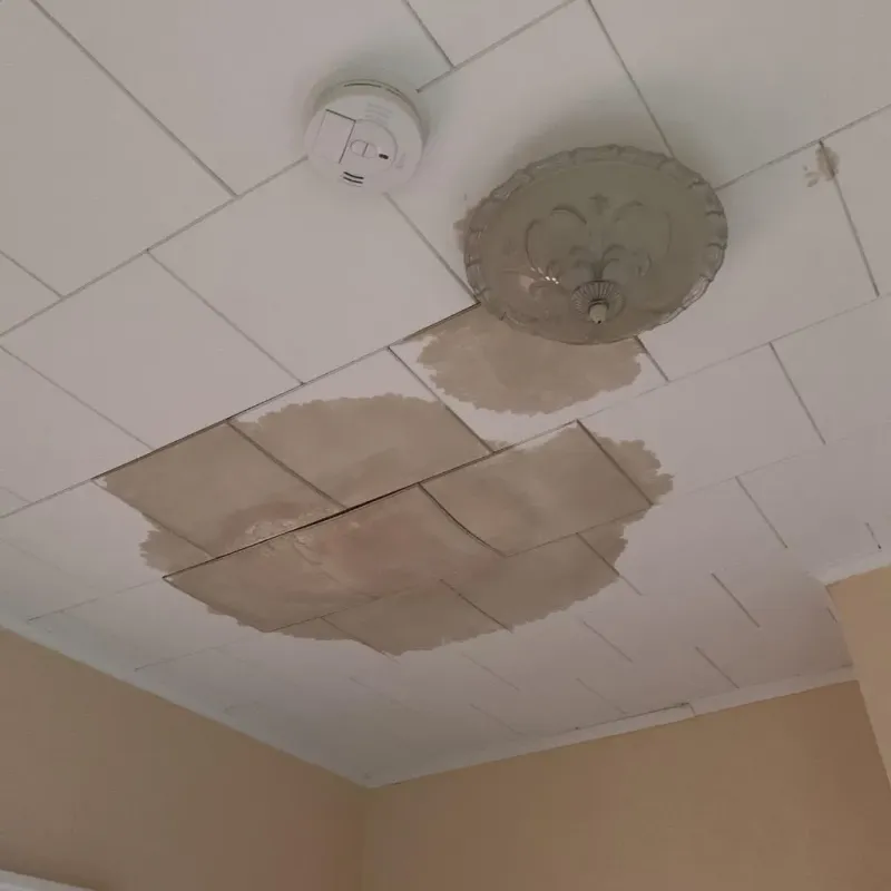 Ceiling Water Damage Repair in Blaine, MN